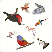 Load image into Gallery viewer, A Spotting Game - Birds
