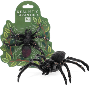 Realistic Tarantula