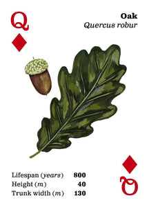 Playing Cards - Top Trees