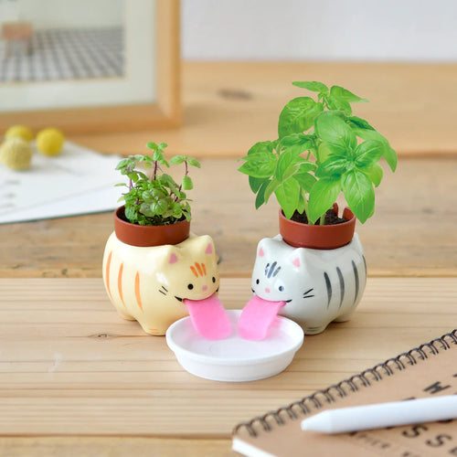 Two perepons, little ceramicnpots in the shape of cats, one white, the other orange, can be seen with their pink felt tongues in a saucer of water.  In their backs they are carrying tiny plant pots from which little plants can be seen growing - basil and mint.