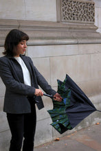 Load image into Gallery viewer, Fulton Umbrella Bloomsbury - 2 Sunburst
