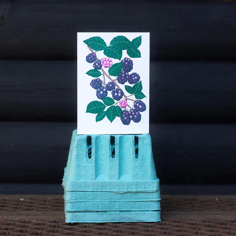 Petra Boase Greeting Card - Grow Blackberry