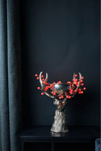 Load image into Gallery viewer, Snowberry Light String - Mains Operated - Red
