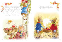 Load image into Gallery viewer, Peter Rabbit Pop Up Book - A Tale Of Four Seasons
