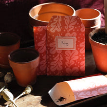 Load image into Gallery viewer, Cambridge Imprint Pack Of 8 Seed Envelopes &amp; Labels - Quercus Pomegranate
