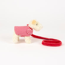 Load image into Gallery viewer, Egmont Toys - Mini Eliot With Leash &amp; Coat  - In Giftbox

