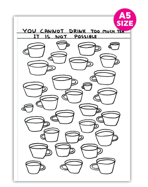 David Shrigley Notebook - Drink Too Much Tea - A5