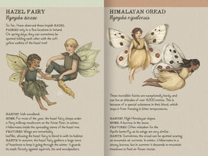 Find The Fairies Memory Game