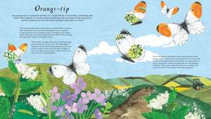 Butterfly Skies Press-out and Learn about 20 Beautiful Butterflies by Lauren Fairgrieve & Kate Read