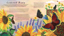 Load image into Gallery viewer, Butterfly Skies Press-out and Learn about 20 Beautiful Butterflies by Lauren Fairgrieve &amp; Kate Read
