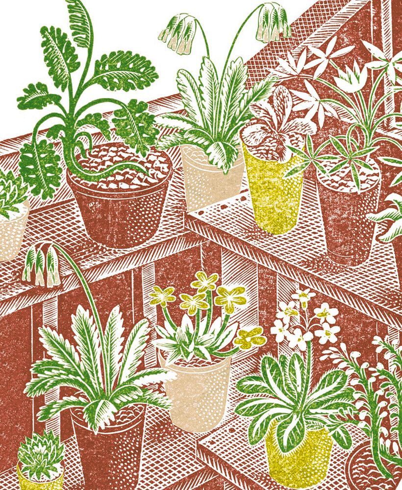 Ravilious Plants Greetings Card by Museums & Galleries
