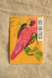 East End Press Greetings Card - Parrot
