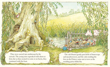 Load image into Gallery viewer, Brambly Hedge - Summer Story
