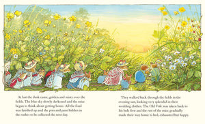 Brambly Hedge - Summer Story