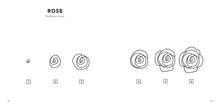 Load image into Gallery viewer, How To Draw - Spring Things
