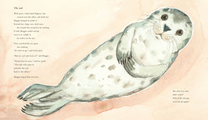 The Seal On The Beach