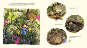 Tiny Jenny: Little Fairy, Big Trouble by Briony May Smith