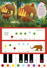 Load image into Gallery viewer, The Story Orchestra - I Can Play
