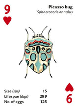 Load image into Gallery viewer, Playing Cards - Brilliant Bugs
