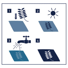 Load image into Gallery viewer, Sunography Paper
