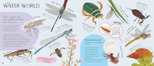Load image into Gallery viewer, Minibeasts - Including A Magnifying Glass
