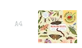 Load image into Gallery viewer, Minibeasts - Including A Magnifying Glass
