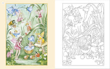 Load image into Gallery viewer, Colouring Book - Vintage Fairies
