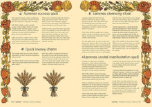 Load image into Gallery viewer, Almanac A Seasonal Guide To 2027
