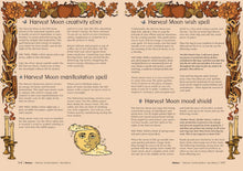 Load image into Gallery viewer, Almanac A Seasonal Guide To 2027

