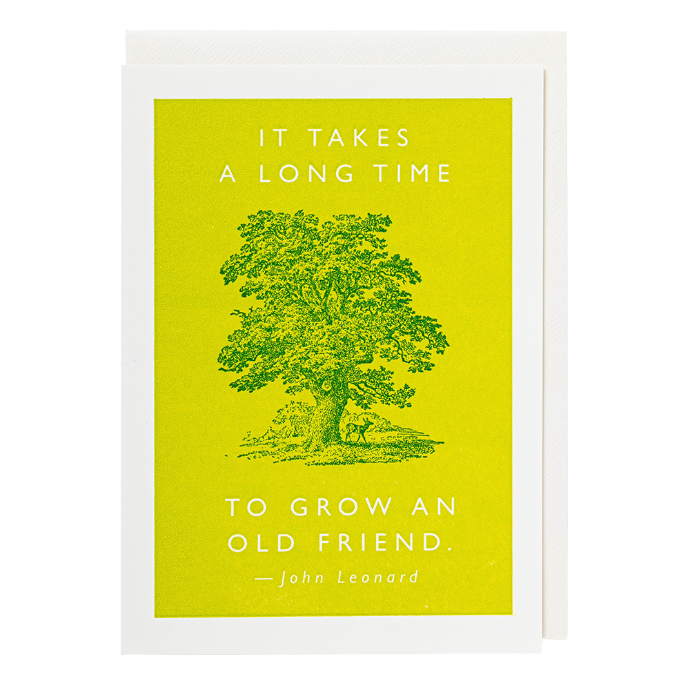 An Old Friend Greeting Card by Archivist