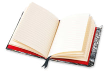 Load image into Gallery viewer, Angela Harding A5 Foiled Ruled Journal - Curlew Cry

