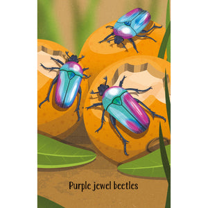 Bugs Snap Cards