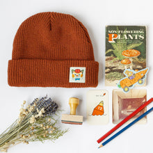 Load image into Gallery viewer, Richard Scarry Sticker - Carrot Car
