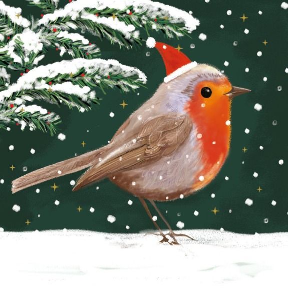 Festive Robin - Christmas Cards - Pack of 8