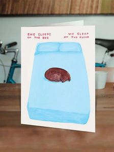 David Shrigley Greetings Card - Sleeps on the Bed