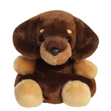 Load image into Gallery viewer, Palm Pals Houdini Dachshund 13cm Soft Toy
