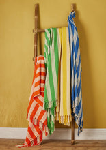 Load image into Gallery viewer, Berge Stripe Throw
