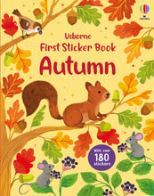 Load image into Gallery viewer, First Sticker Book - Autumn

