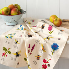 Load image into Gallery viewer, the tea towel is seen on a table with a colander of apples.  Illustrations of different Bees and flowers are illustrated on it, with their names below in small black lettering, giving it the look of a natural world scientific chart.
