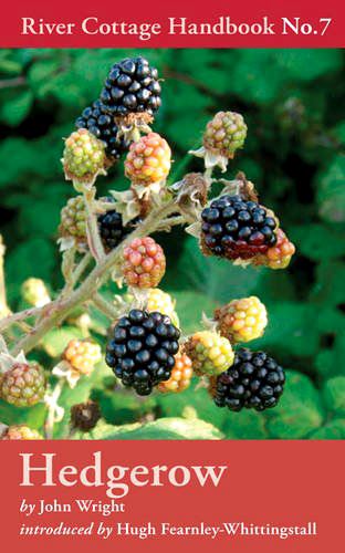 River Cottage Handbook Hedgerow