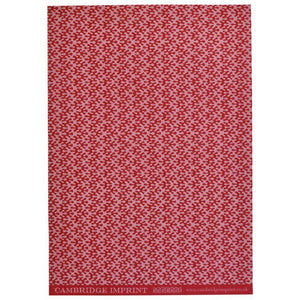 Cambridge Imprint Patterned Paper - Kelp - Raspberry Ripple