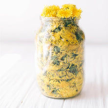 Load image into Gallery viewer, The Little Wild Library: Dandelion by Clare Gogerty
