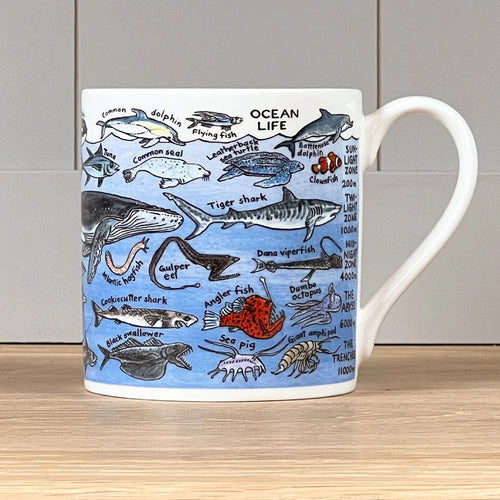 Illustrations of different ocean life span the whole of the mug with placement relevant to how deep they live within the sea.