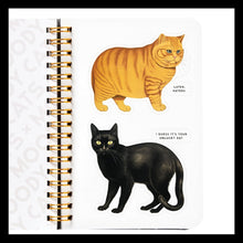 Load image into Gallery viewer, Moody Cats Sticker Book
