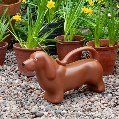 sausage watering can in garden