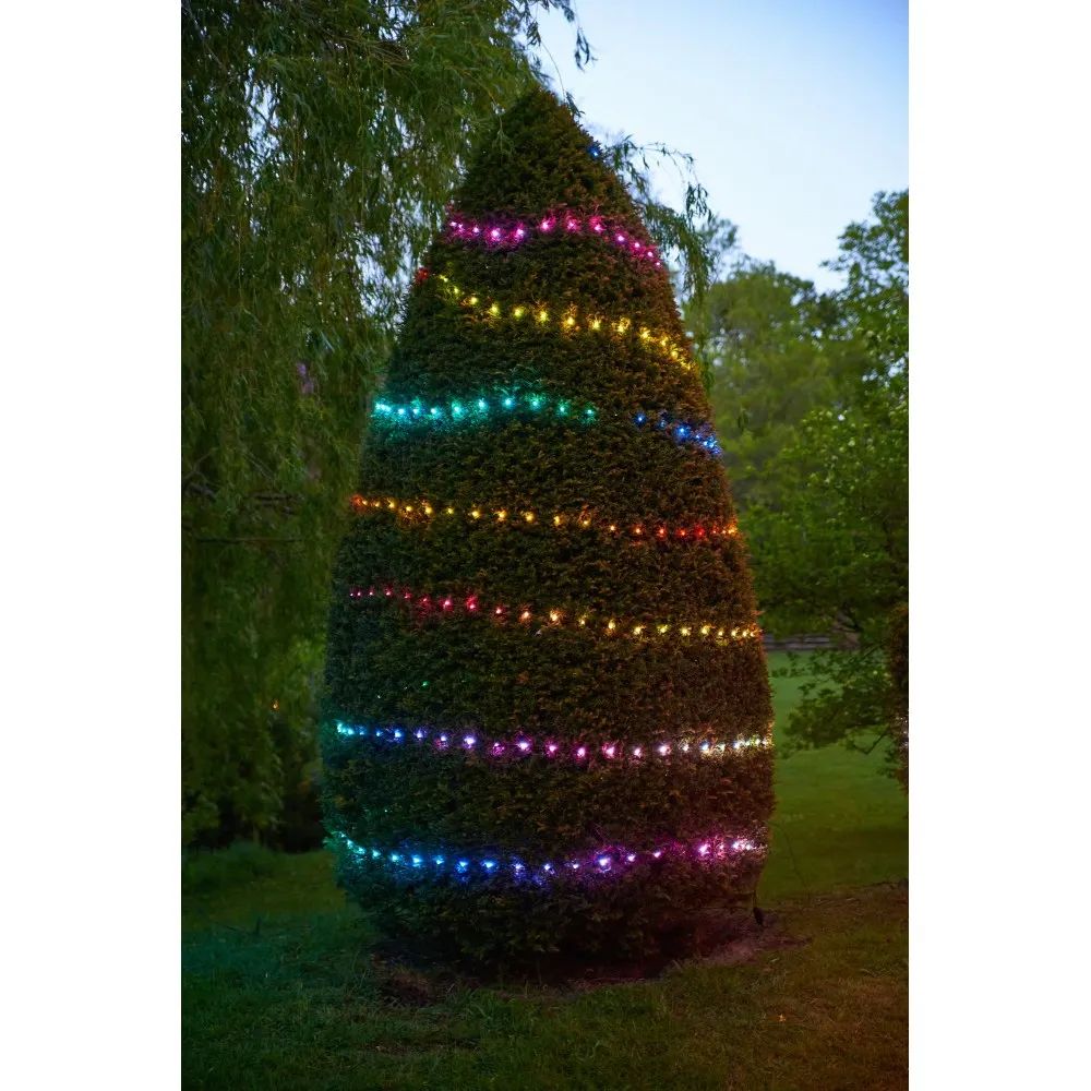 Colourful fairy lights wrapped around a tree in spiral 