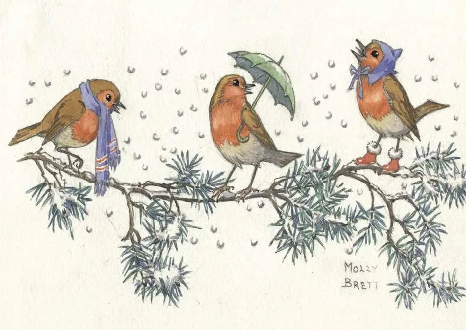 The Porch Fairies Greetings Card - Robins on Branch