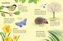 Load image into Gallery viewer, Usborne Minis Things To Spot in Springtime
