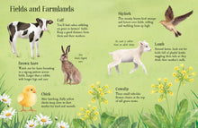 Load image into Gallery viewer, Usborne Minis Things To Spot in Springtime
