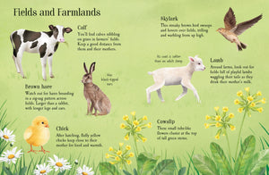 Usborne Minis Things To Spot in Springtime